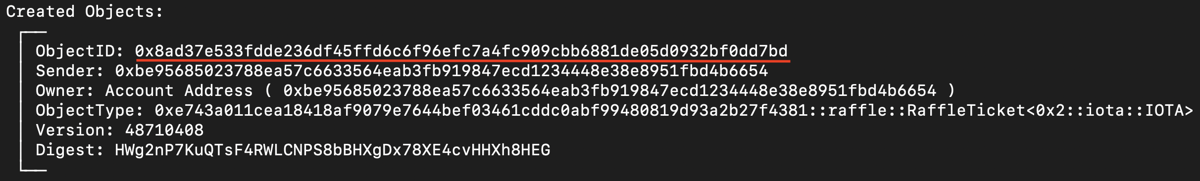 The RaffleTicket ObjectID in the command output